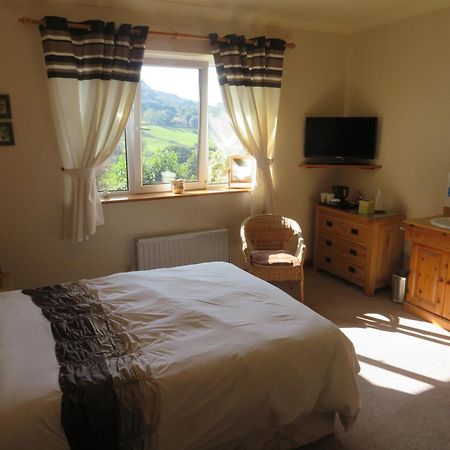 Heulwen Guest House ดอลเกซเซย์ ภายนอก รูปภาพ